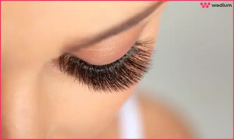 wispy lashes