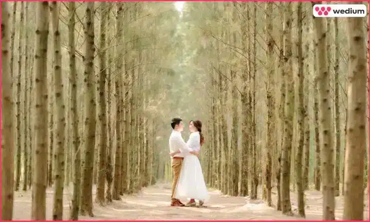 colorful shades of love pre-wedding photography style